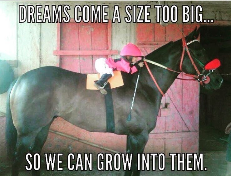 Horse Dreams